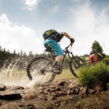 Luxury Mauthner Alm Holiday home *