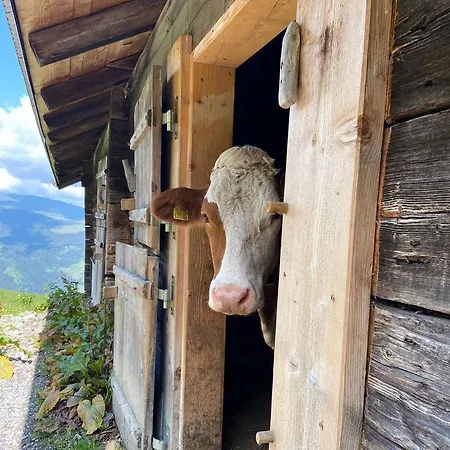 Luxury Mauthner Alm * Kotschach-Mauthen