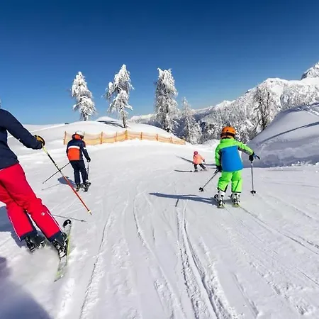 Luxury Mauthner Alm Hébergement de vacances *