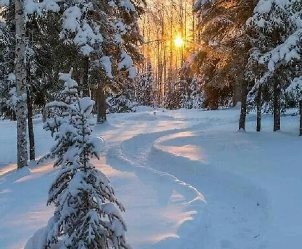 Luxury Mauthner Alm Dom wakacyjny Kotschach-Mauthen