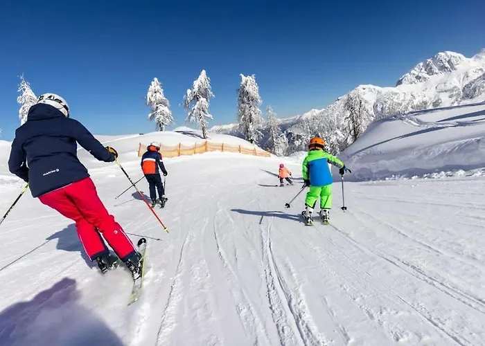 Luxury Mauthner Alm Holiday home *